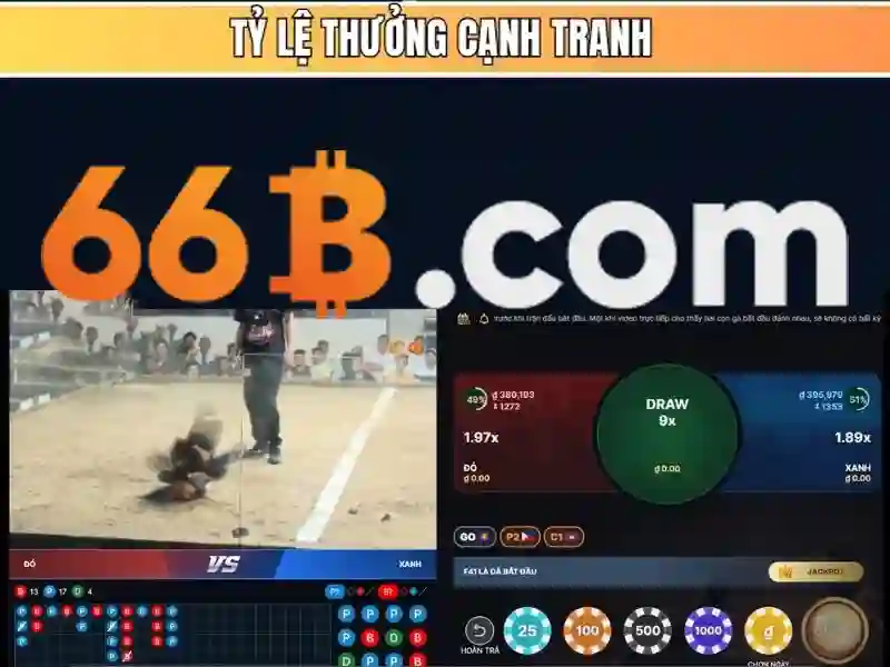 Kiến trúc và cách hoạt động của 66B